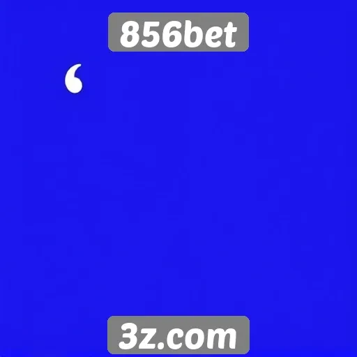 Depoimentos de usuários sobre a experiência no 856bet