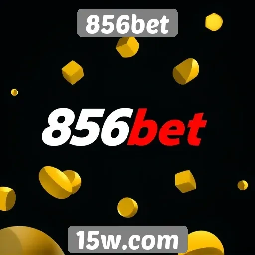 Opções de pagamento oferecidas pelo 856bet